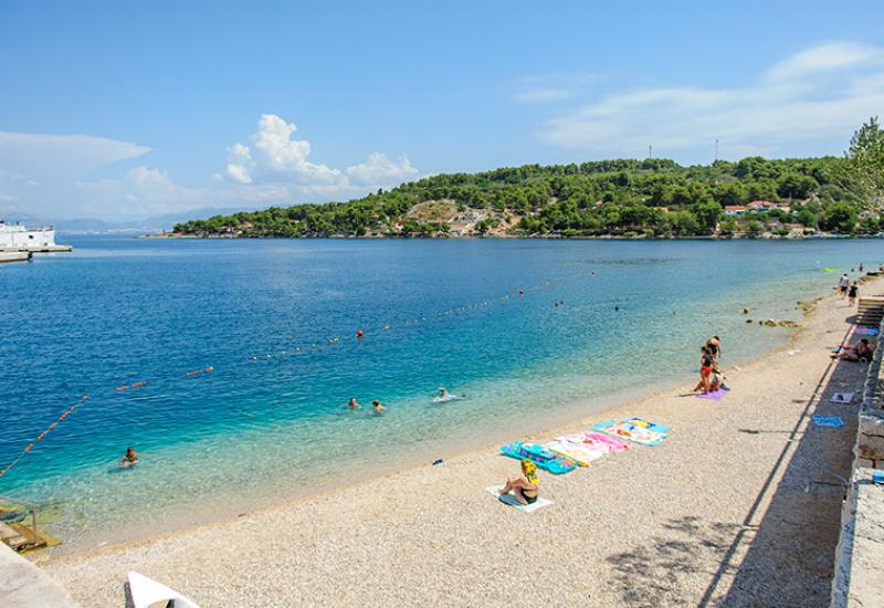 Rogač